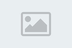 Consumer Examples Biology Biology Diagrams
